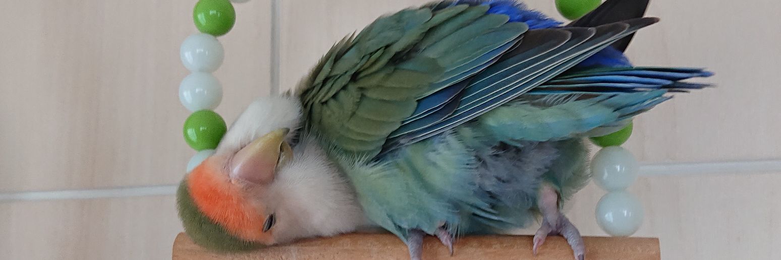 TenjinYs's profile banner image