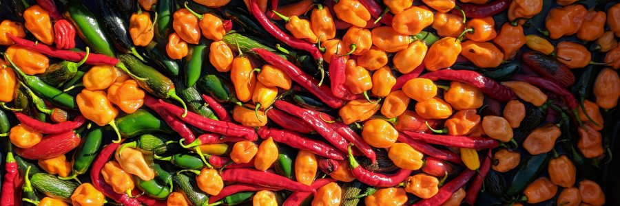 Craft Hot Sauce banner