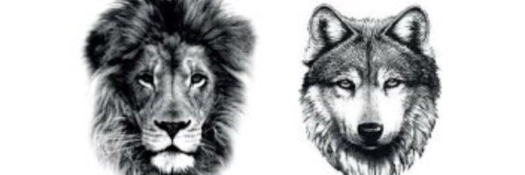 Camron Justice banner