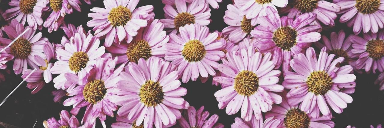 thyeseStelzer's profile banner image
