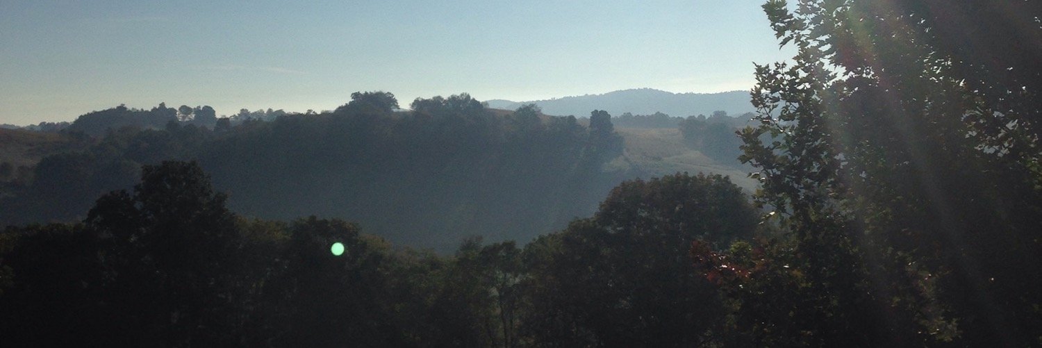 Megan Brannon banner