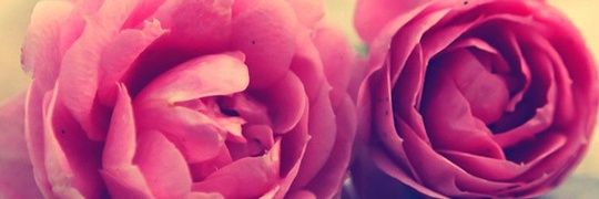 memotry123's profile banner image