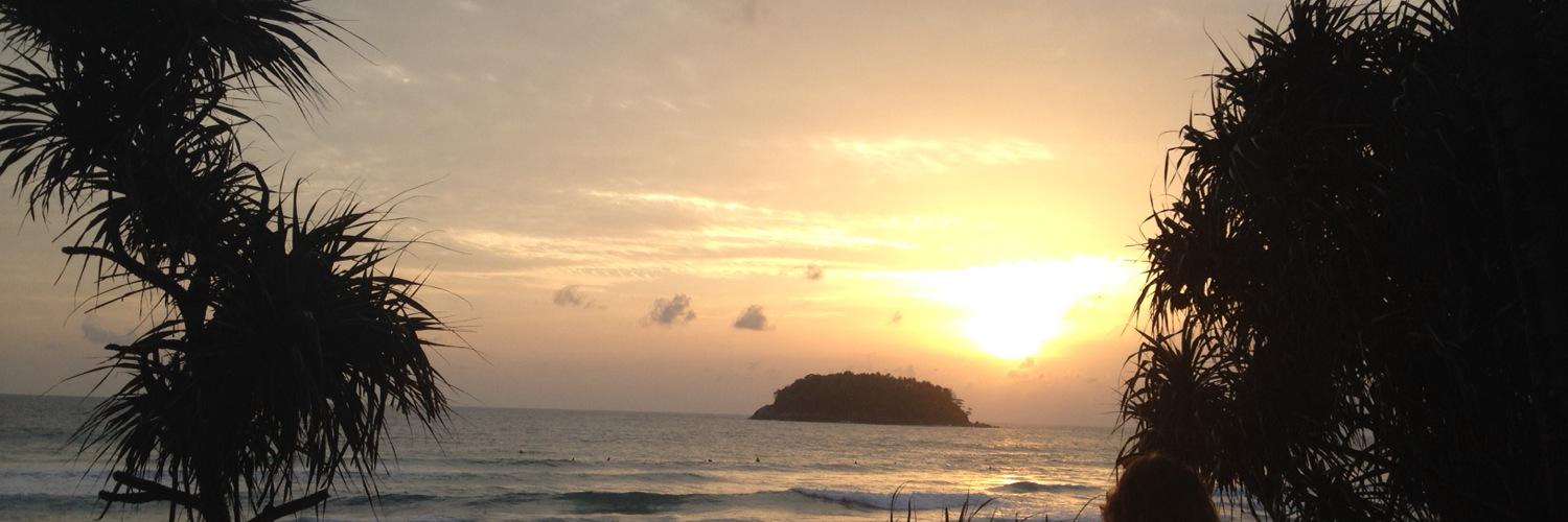 Quinten Friederichs Parody🇵🇸 banner