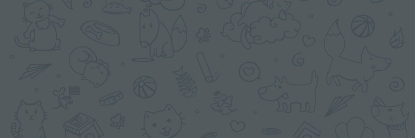 Telegram Korea banner