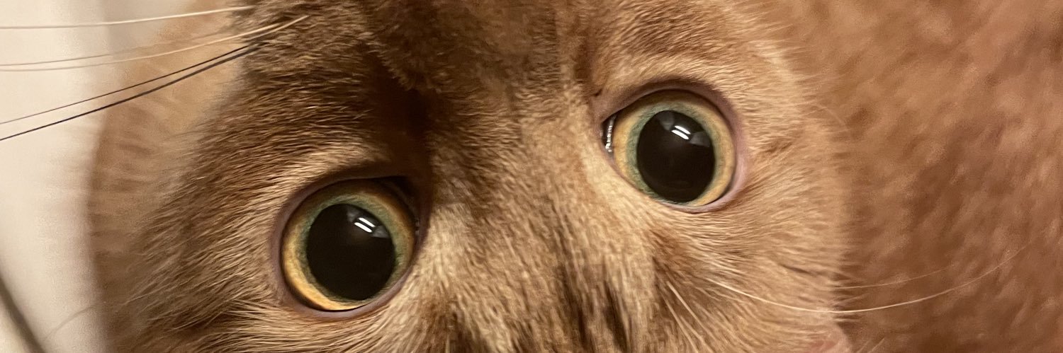 JeaWho90's profile banner image