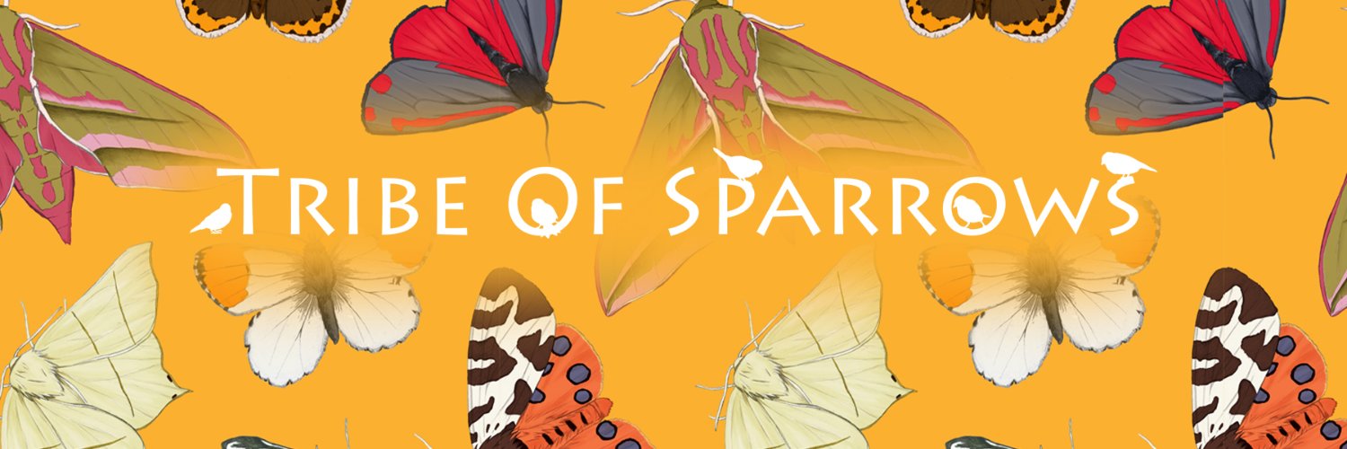 TribeOfSparrows's profile banner image