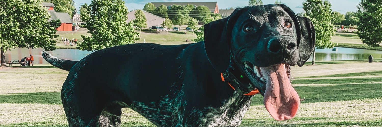 kinleytolbert's profile banner image
