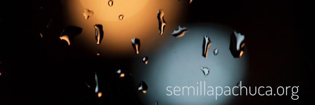SemillaPachuca's profile banner image