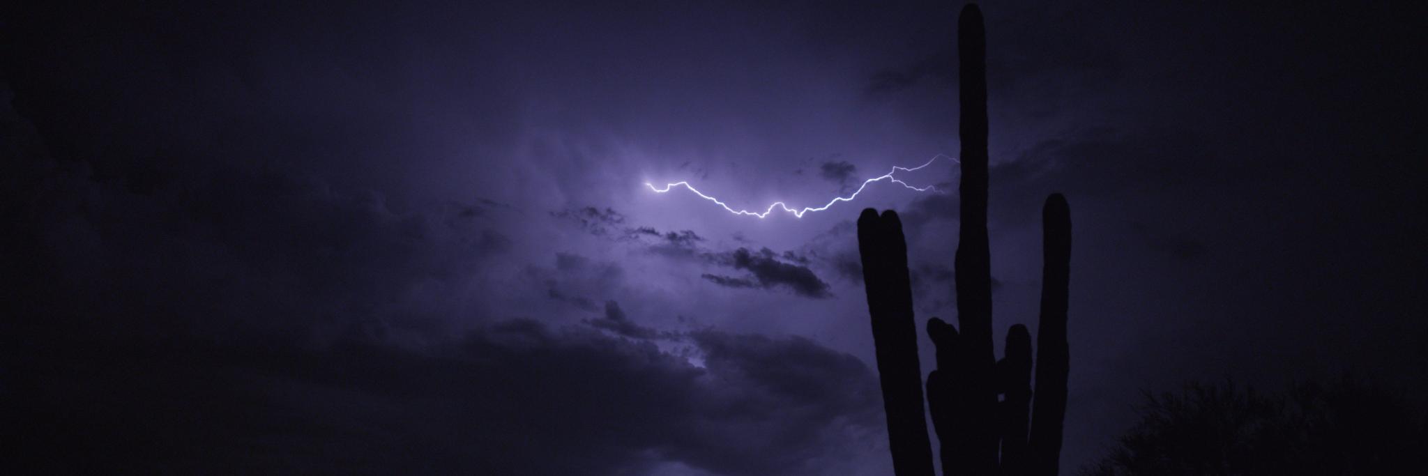 We Are Entertained banner