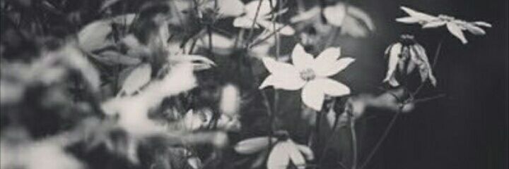 aaaaa14010's profile banner image