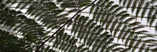 WeekendArchaeo Profile Banner