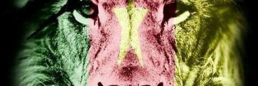 eyyoum's profile banner image
