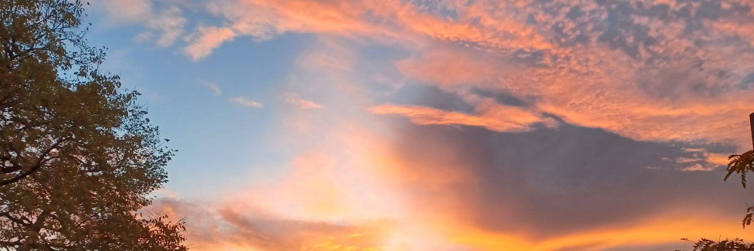 lharant1's profile banner image
