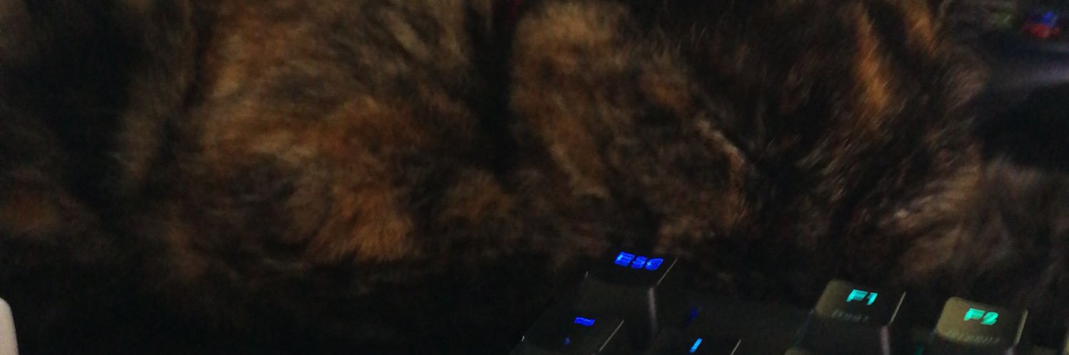 paaaamio's profile banner image