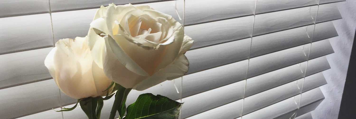 rosieevo's profile banner image
