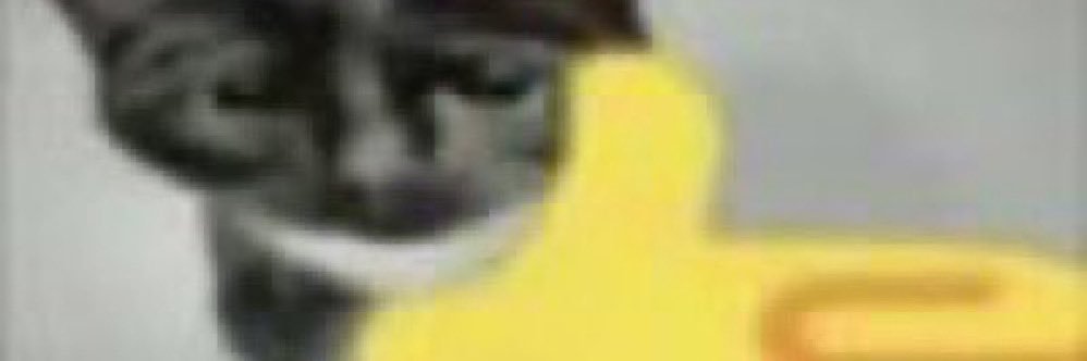 blortyy's profile banner image