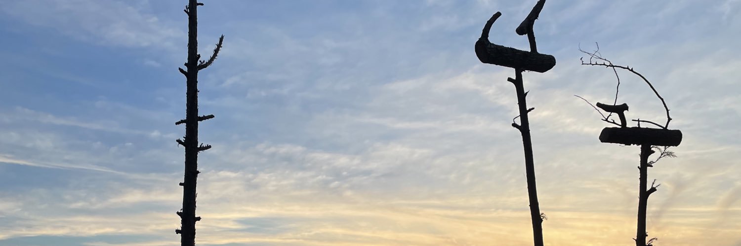 doorsros's profile banner image