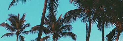 Isa_Eii3's profile banner image