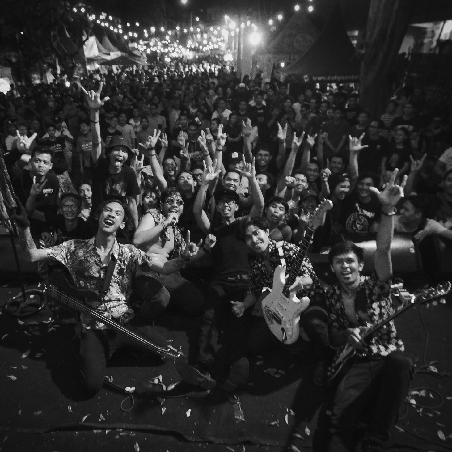 The Cat Rolls banner