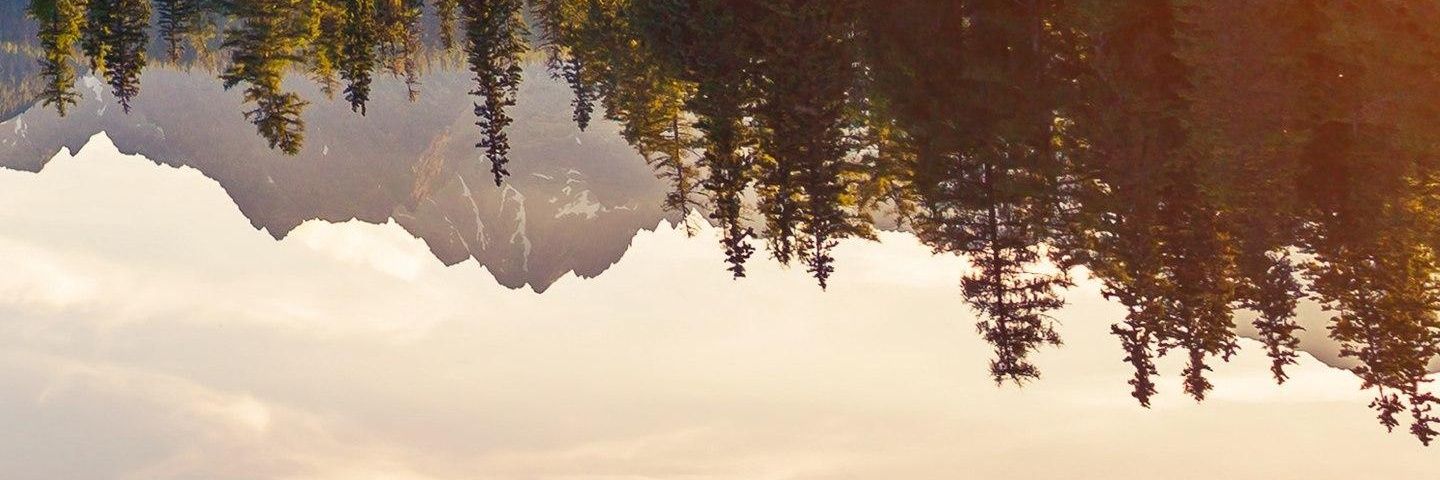 yassich89's profile banner image