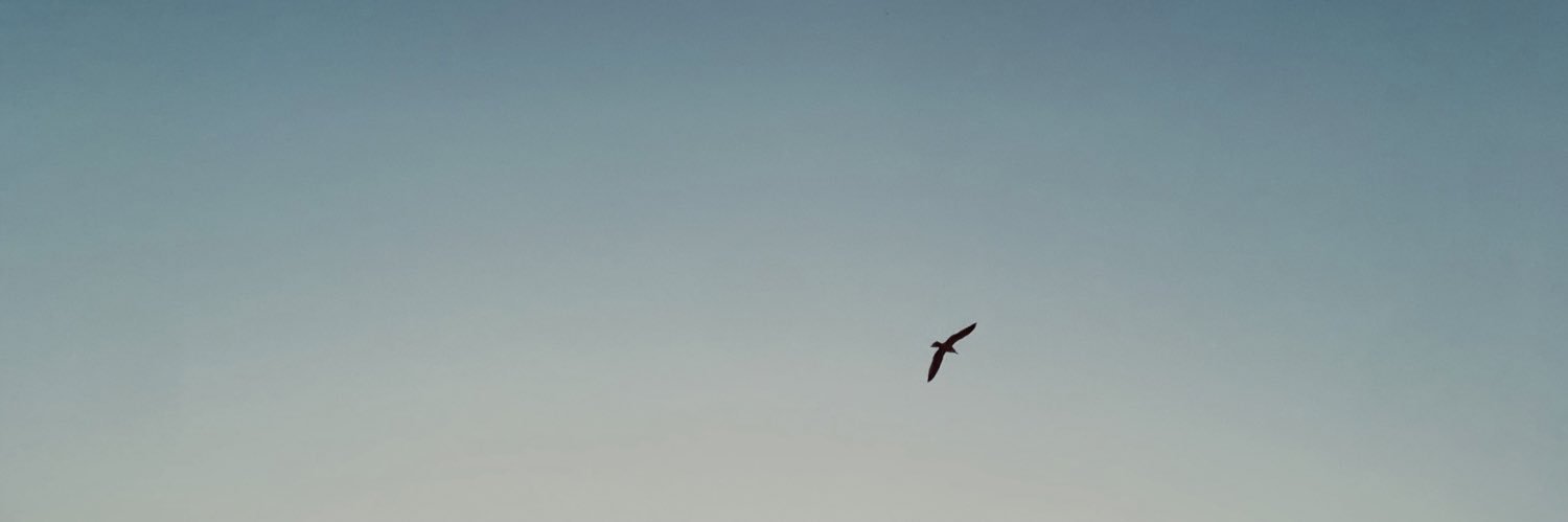 _sebcampbell's profile banner image