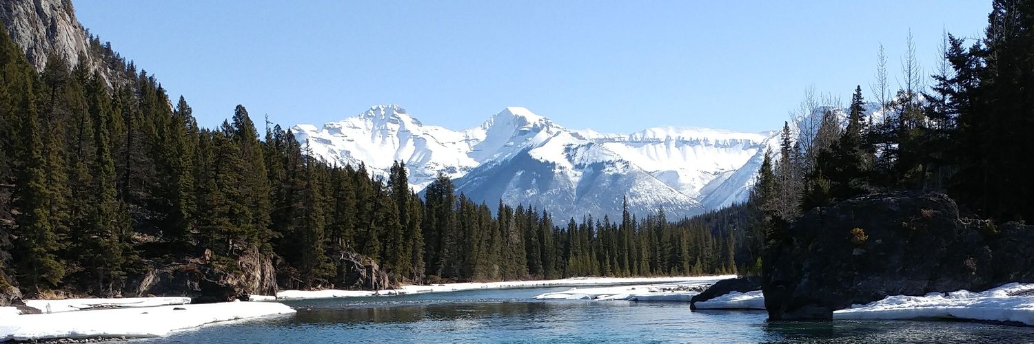 Rafael Sanchez banner