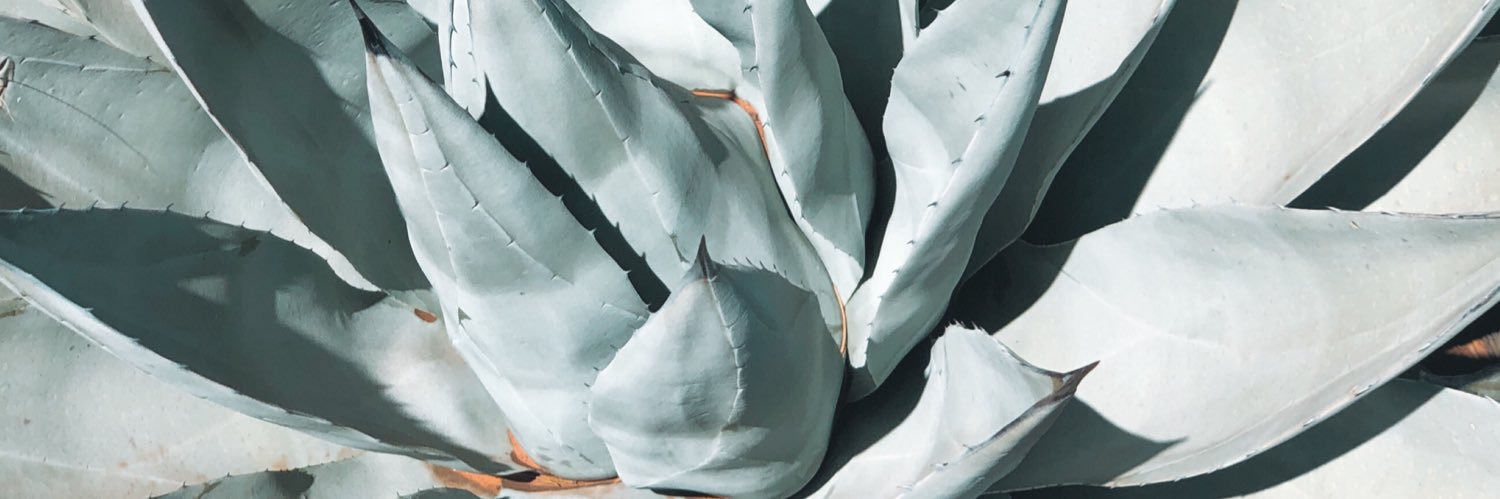 alliemccormickk's profile banner image