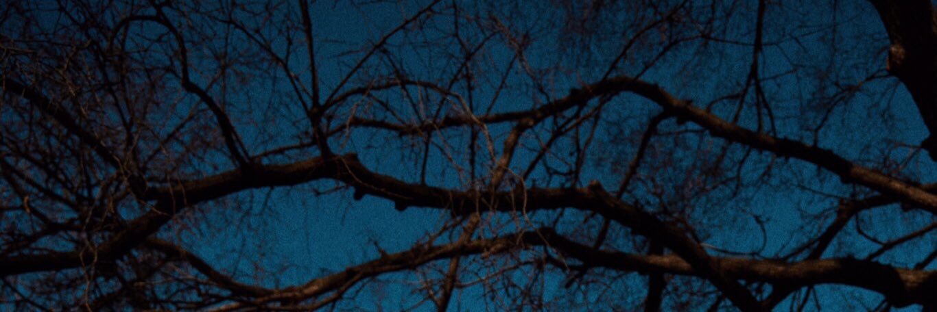 656__r's profile banner image