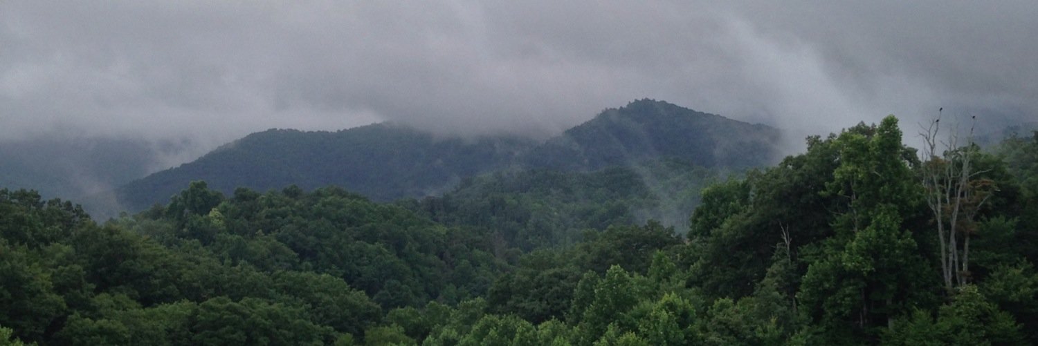 musingsofanINFP's profile banner image