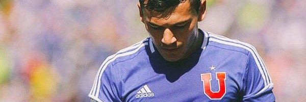 Ms__Queen_Bee_ Profile Banner