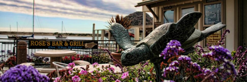 RosesBarGrill's profile banner image