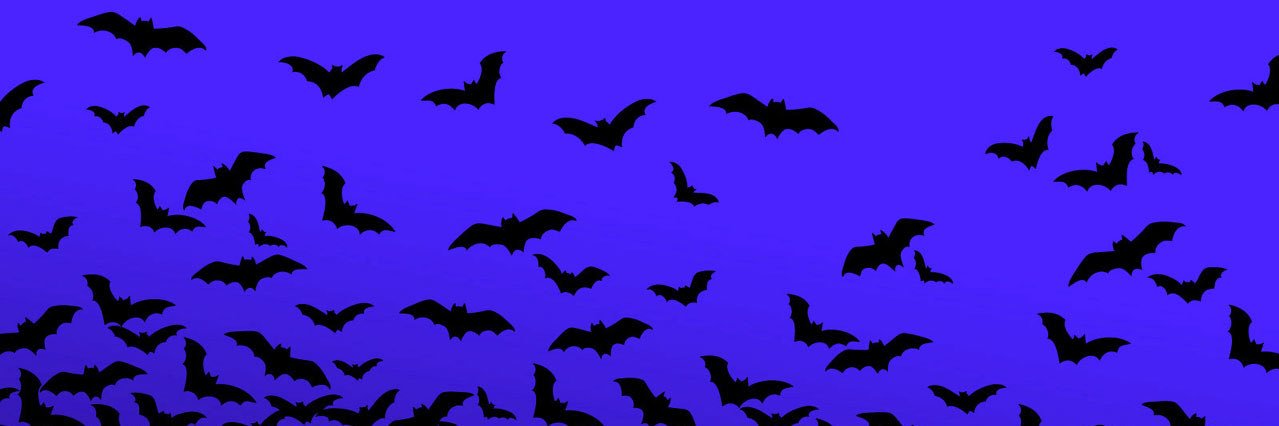 tylersaurus's profile banner image