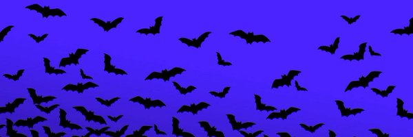 tylersaurus Profile Banner