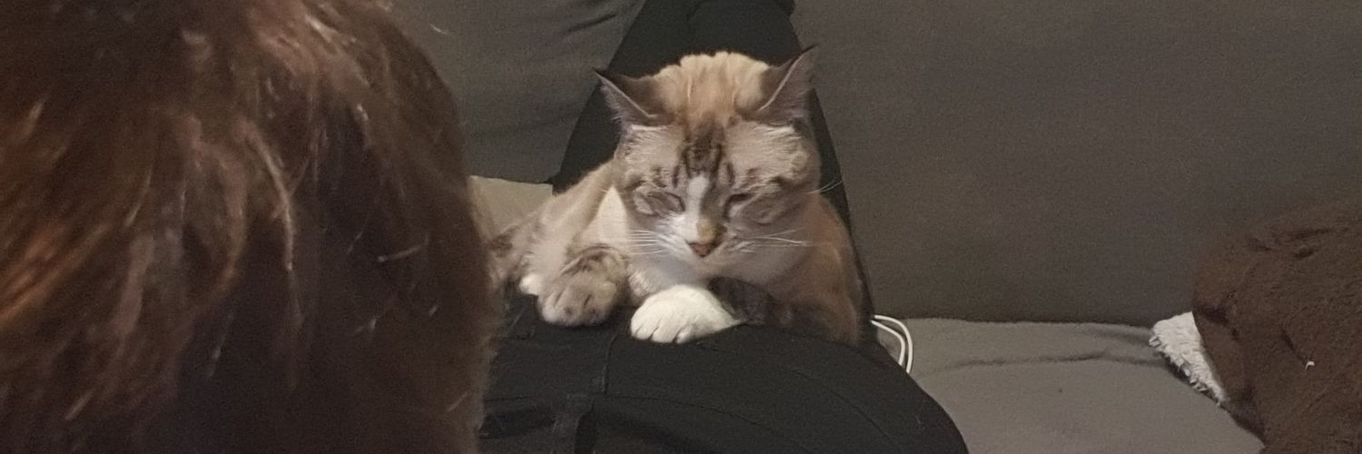 llisonline's profile banner image