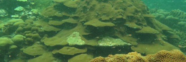 Medina Lab PSU banner