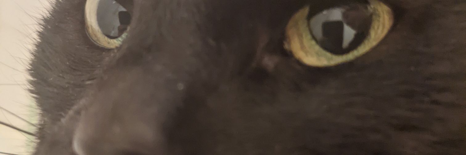 husslerose's profile banner image
