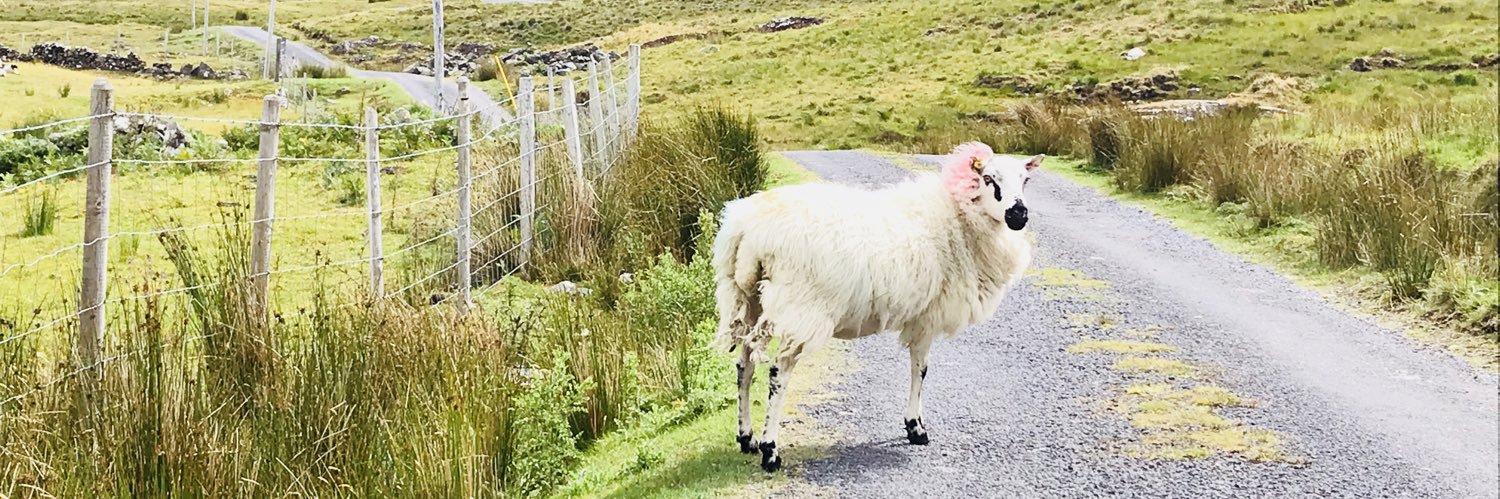 Kim Novak - The Reading Rx banner