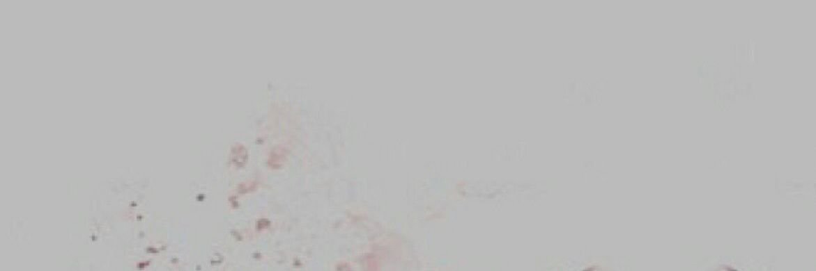 OfDiligence's profile banner image