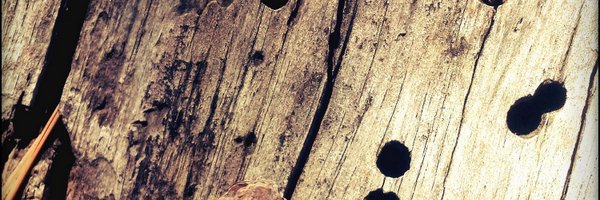 BeatnikBandito Profile Banner