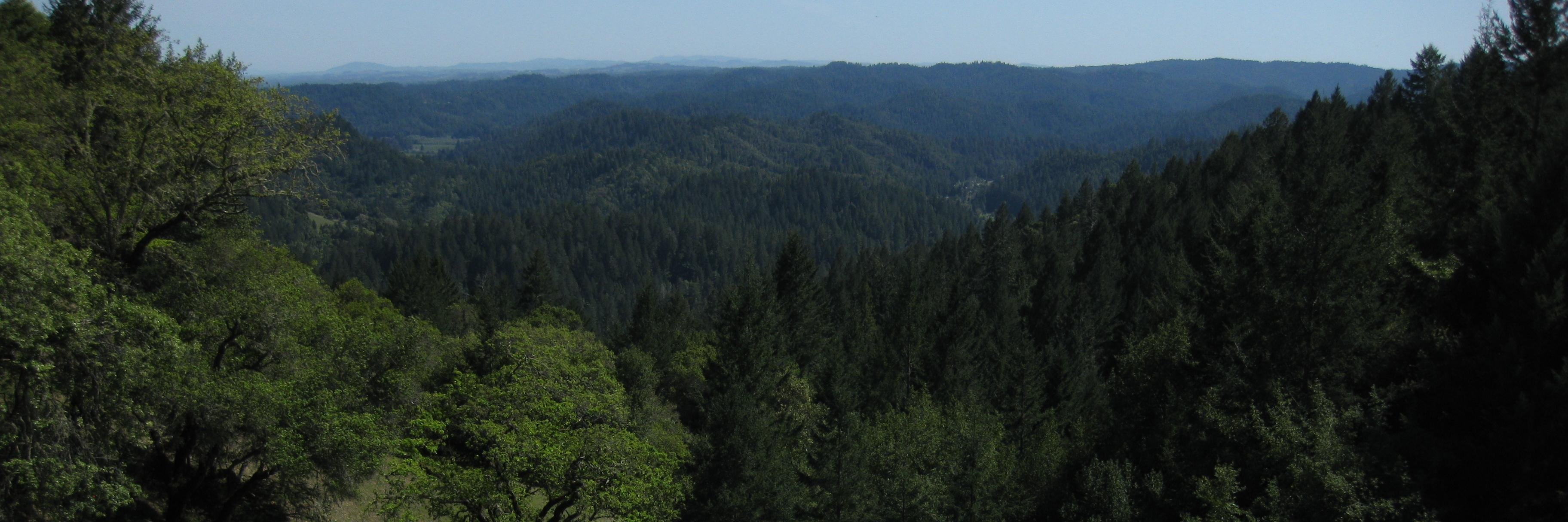 LandDynamics's profile banner image