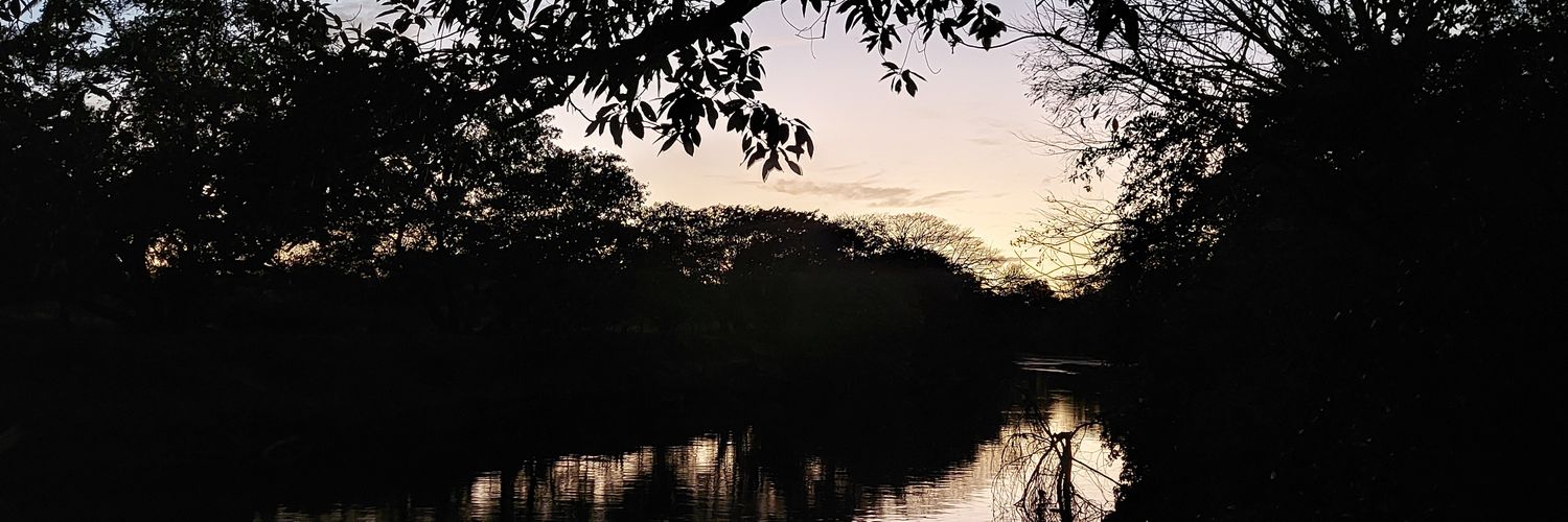 Edwardelatorres's profile banner image