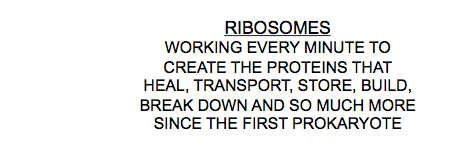 RiboWorkers's profile banner image