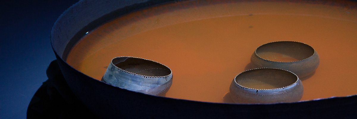 sholehasgary's profile banner image