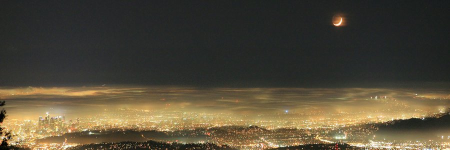 cringoooo's profile banner image
