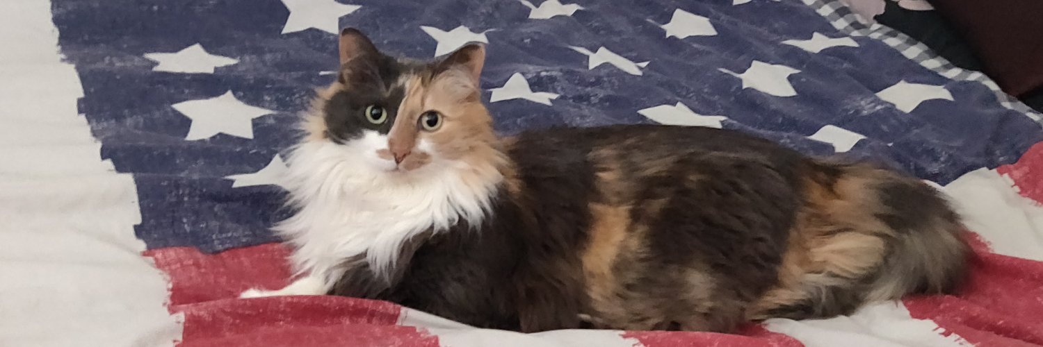 Jishael's profile banner image
