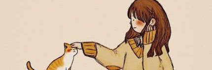 LKayloo's profile banner image