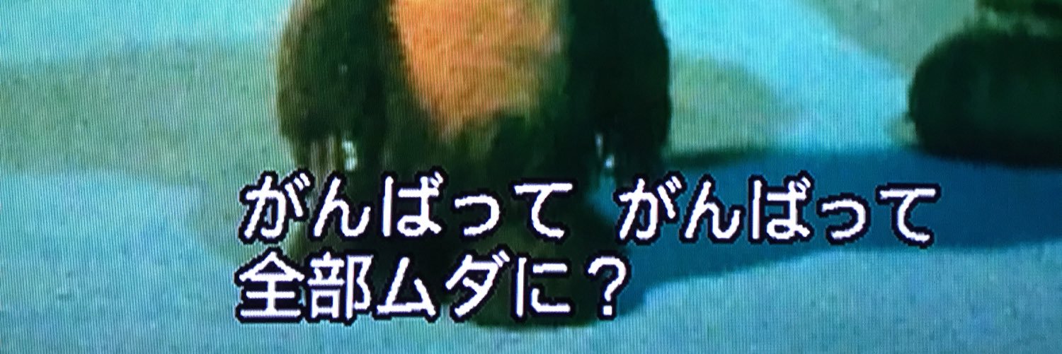 umeboshi666's profile banner image