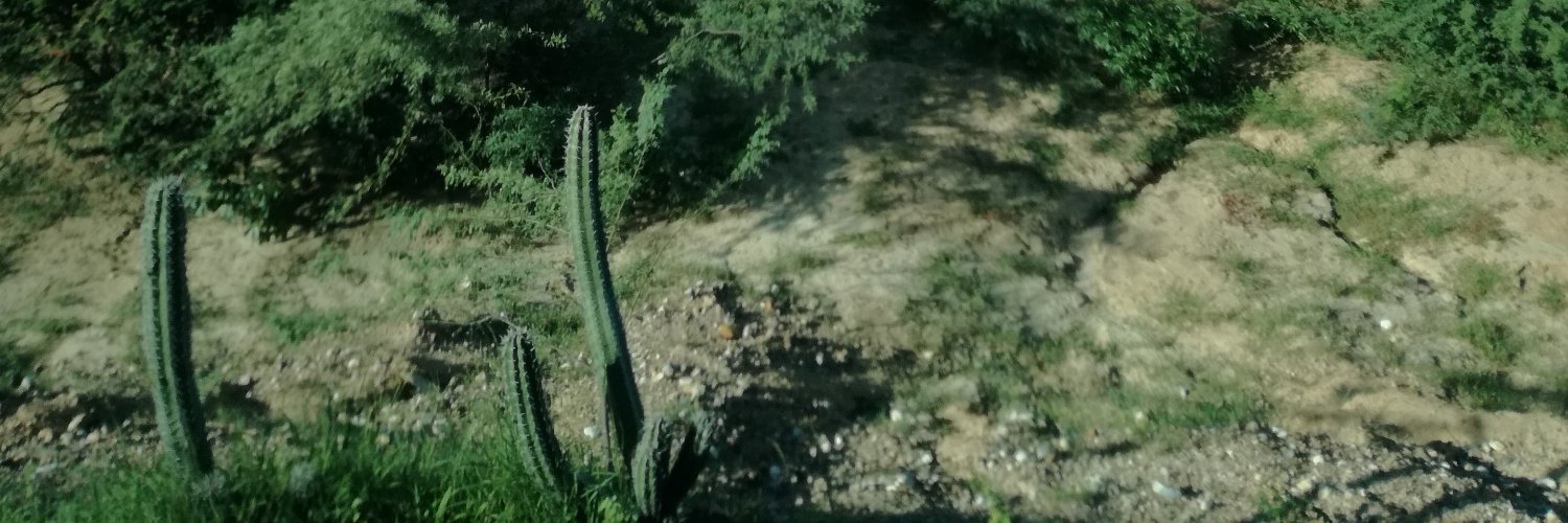 UCHLSISTEMAS's profile banner image