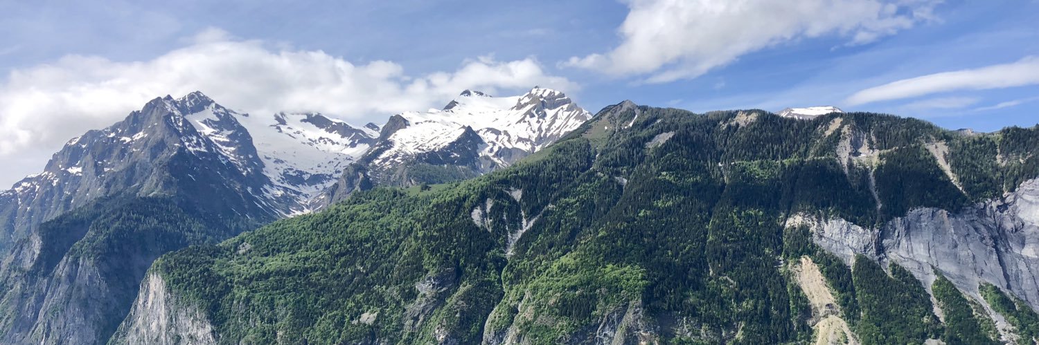 Adrian Williamson banner