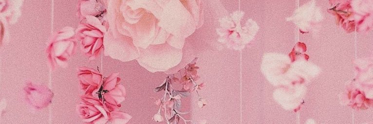 YaDunceBoii's profile banner image